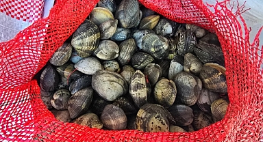 650 kilo kum midyesiyle yakalanan 3 kişiye 2 milyon lira ceza