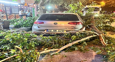Edirne'de ağaç dalı otomobil ve minibüsün üzerine devrildi