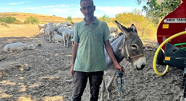 Edirne’de otogarın maskotu ‘Kadife’, sahibine kavuştu