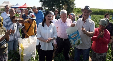 Edirne'de oyun havaları eşliğinde 'acı biber' hasadı
