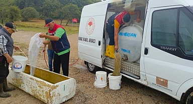 Edirne’de üretilen 3 milyon adet pullu sazan yavrusu, göl ve göletlere bırakıldı