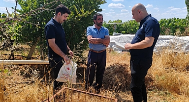 Karamesutlu Köyü'ndeki Yangında 150 Arı Kovanı Zarar Gördü