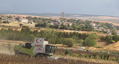 Kaynarca'da Çiftçilerin Ayçiçeği Mesaisi Sürüyor