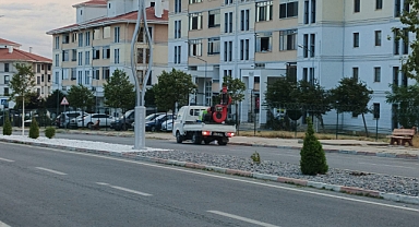 Kırklareli Belediyesi'nden Sivrisineklere Karşı Etkin Mücadele