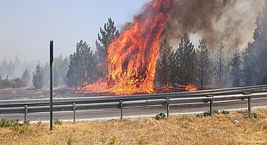 Kırklareli'de anız yangını; TEM ve D-100 bir süre trafiğe kapatıldı