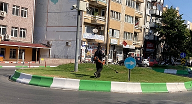 Kırklareli’nde Çim Biçme Çalışmaları Devam Ediyor