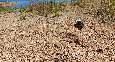 Kırklareli'nde Doğayı Korumak İçin Vatandaşlara Çağrı
