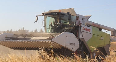 Kırklareli'nde Kuraklık ve Sıcaklık Ayçiçeği Verimini Vurdu