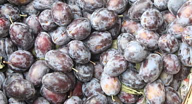 Kırklareli'nde Mürdüm Eriği Kilosu 60 TL'den Satışa Sunuldu