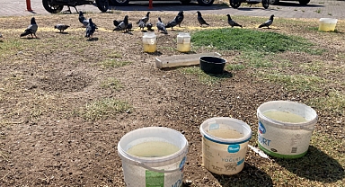 Kırklareli'nde Sıcak Havalarda Can Dostlara Destek