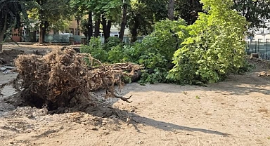 Kırklareli’nde Şiddetli Rüzgâr Dört Ağacı Devirdi