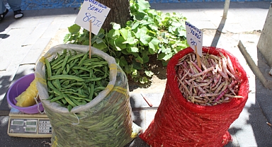 Kırklareli'nde Taze Fasulye ve Barbunya 80 TL'den Satışta