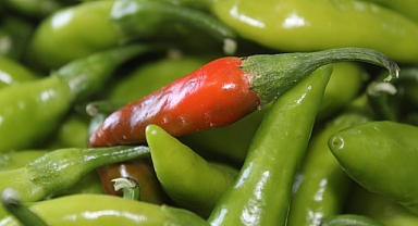 Kırklareli Pazarı'nda Organik Balık Biberi Kilosu 200 TL'den Satışta