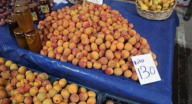 Kırklareli Pazarlarında Sezonun Son Kayısıları Tezgahlarda