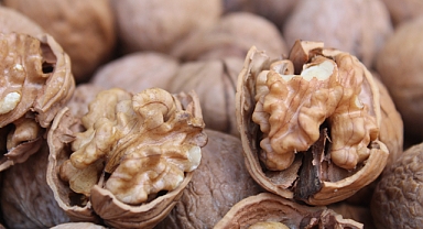 Kofçaz Cevizi Kırklareli Tezgahlarında Yerini Aldı