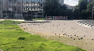 Lüleburgaz Kongre Meydanı'nda Güvercinlerin Sabah Keyfi