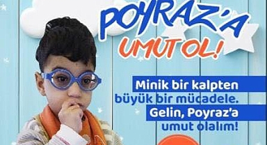 Minik Poyraz'ın Büyük Mücadelesi
