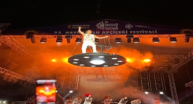 Rapçi Çakal, havalı tüfekle rastgele açılan ateş sonucu yaralandı