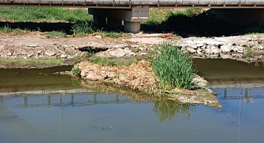 Şeytan Deresi'nde Balık Ölümleri İhbarı Üzerine Harekete Geçildi