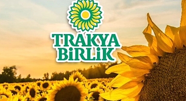 Trakya Birlik Ayçiçeği Avans Fiyatını 28.000 TL Olarak Açıkladı