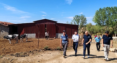 Karahamza Tarımsal Kalkınma Kooperatifi’nden Gebe Düve Projesi