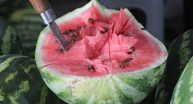 Karpuz Zehirlenmesi Nedir, Belirtileri Nelerdir?