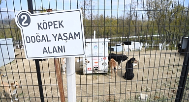 Keşan Belediyesi’nden Türkiye’ye Örnek Bakımevi
