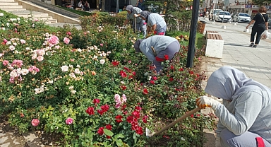 Kırklareli Belediyesi Park ve Bahçeler ile Fen İşleri Şehri Çiçeklendiriyor