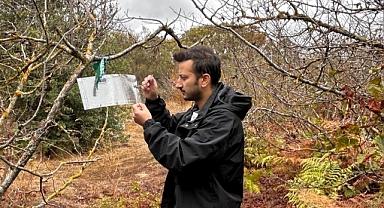 Kırklareli’de Zararlının Popülasyonu Düzenli Olarak İzleniyor