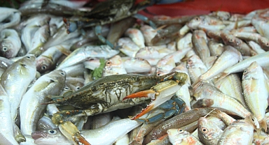 Kırklareli Kapalı Pazarında Yengeç Sürprizi