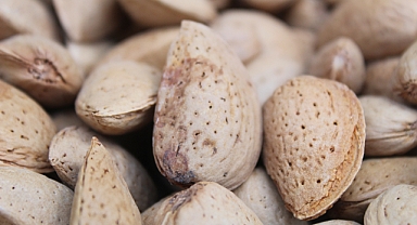 Kırklareli'nde Yerli Badem Tezgahlarda