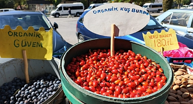 Kırklareli'nde Dalından Taze Kuşburnu Tezgahlarda