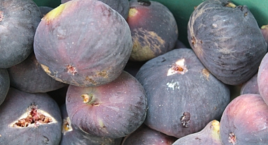 Kırklareli'nde İncir Fiyatları 10 ile 150 Lira Arasında Değişiyor