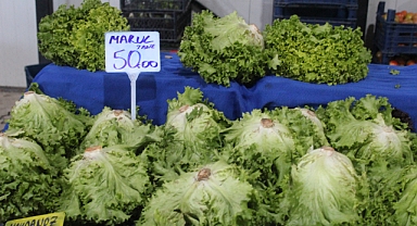 Kırklareli'nde Marul Fiyatları Şaha Kalktı