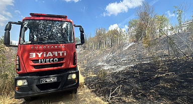 Ot yangınında alevlerin sıçradığı baraka ile 4 arı kovanı yandı