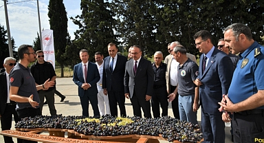 Yeni Üzüm Çeşitleri Tanıtım Programı Düzenlendi