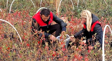 Demirköy’de Üretim Alanlarında Bitki Pasaportu Kontrolü Yapıldı