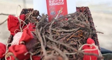 Edirne Kırmızısı Yeniden Parlıyor: Tarihi Renk Modern Çağda Hayat Buldu