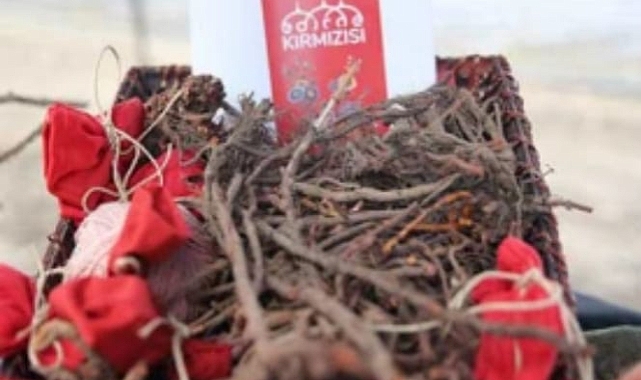 Edirne Kırmızısı Yeniden Parlıyor: Tarihi Renk Modern Çağda Hayat Buldu