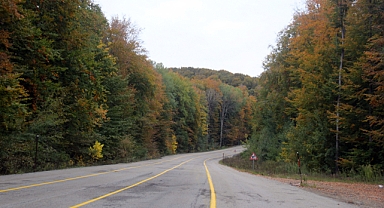 Istrancalar’da Sonbahar Büyüsü: Renk Cümbüşüyle Doğa Göz Kamaştırıyor