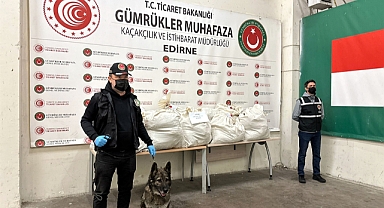 Kapıkule’de TIR'ın dorsesinde 113 kilo 664 gram esrar ele geçirildi