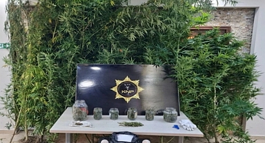 Kırklareli'de uyuşturucu yetiştirilen eve operasyonda 1 tutuklama