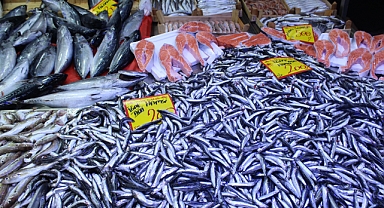 Kırklareli Kapalı Pazarı'nda Hamsi Yoğunluğu