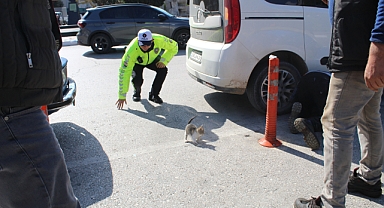 Kırklareli'nde Ekip Arabasına Giren Yavru Kedi Seferberlik Yarattı