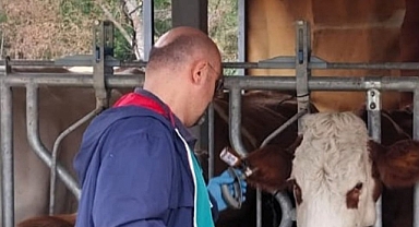 Kırklareli'nde Hayvan Sağlığı İçin Aşılama ve Kontrol Çalışmaları Sürüyor