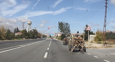 Kırklareli'nde Odun Taşıyan At Arabaları Trafikte Tehlike Oluşturuyor