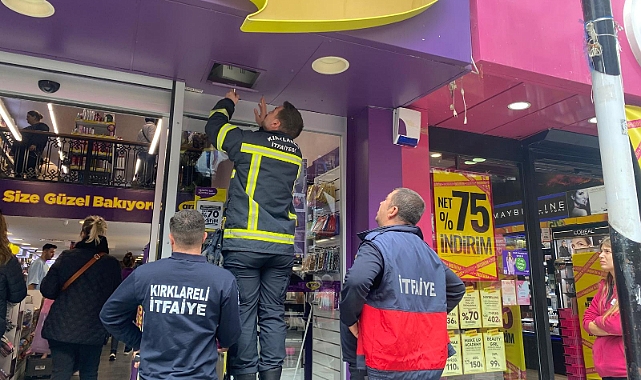 Kırklareli'nde Tabelaya Giren Kedi Kurtarma Seferberliği