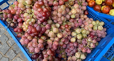 Kırklareli’nde Üzüm Sezonu Sona Yaklaşıyor