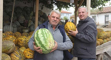 Kırklareli Üsküpdere’de Yerli Karpuz ve Kavun Sezonu Sona Eriyor