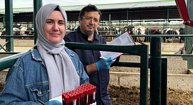 Lüleburgaz’da Arilik Çalışmaları Kapsamında Hayvan Sağlığı Takibi Sürüyor